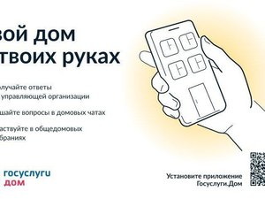 моб приложение.jpg